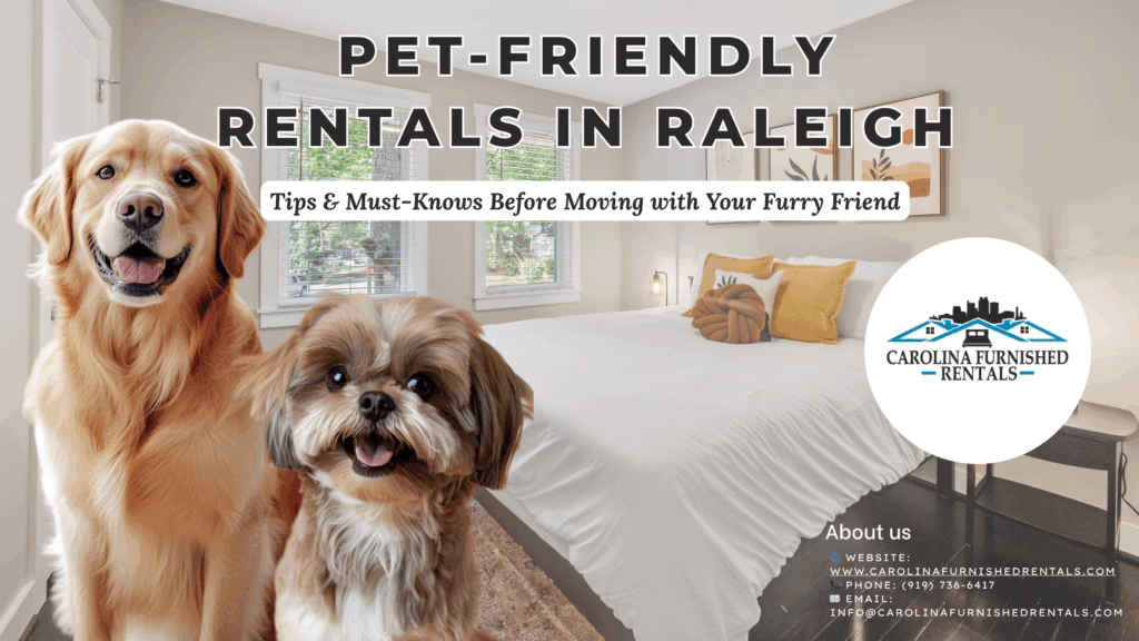 Pet-Friendly Rental