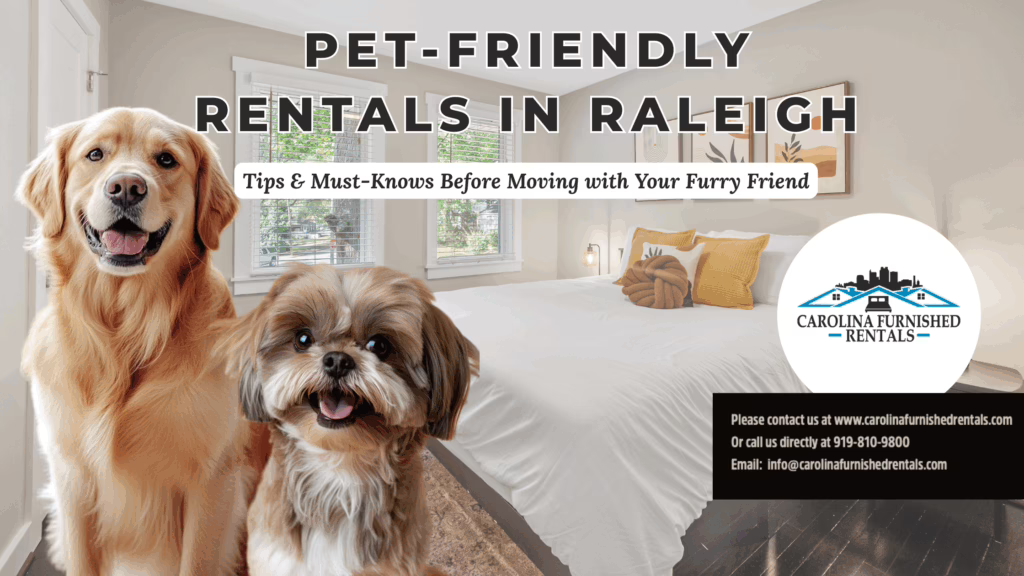 Pet-Friendly Rental